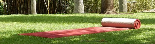 Photograph of a red carpet partly rolled out on grass.